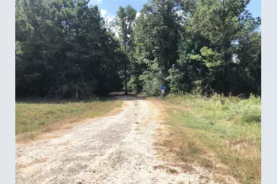 Tract 3.1 Sylvia Trail, Coldspring, TX 77331 - Photo 15