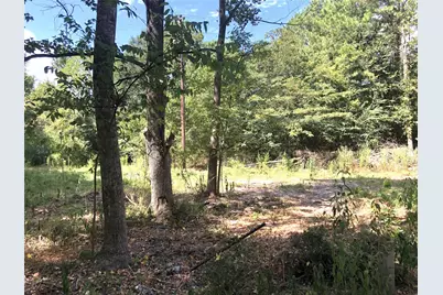 Tract 3.1 Sylvia Trail, Coldspring, TX 77331 - Photo 1