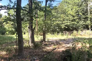 Tract 3 1 Sylvia Trail, Coldspring, TX 77331 - Photo 1