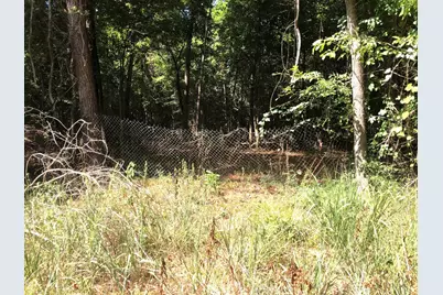 Tract 3.1 Sylvia Trail, Coldspring, TX 77331 - Photo 7