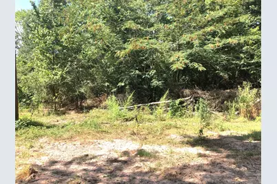 Tract 3.1 Sylvia Trail, Coldspring, TX 77331 - Photo 9