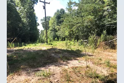 Tract 3.1 Sylvia Trail, Coldspring, TX 77331 - Photo 5