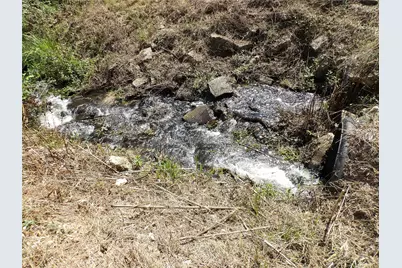 2399 Cr 1885, Grapeland, TX 75844 - Photo 45