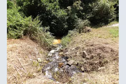 2399 Cr 1885, Grapeland, TX 75844 - Photo 43