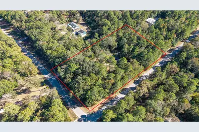 24795 Shady Oaks Boulevard, Montgomery, TX 77316 - Photo 3