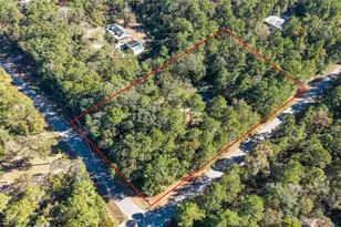 24795 Shady Oaks Blvd, Montgomery, TX 77316 - Photo 3