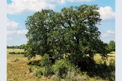 1830 Holub Road, Schulenburg, TX 78956 - Photo 11