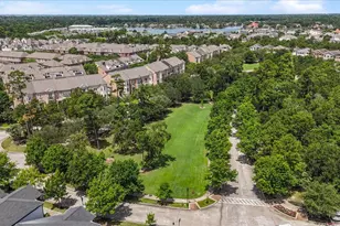 30 History Row, The Woodlands, TX 77380 - Photo 41