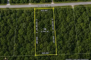 4560 Road 66112, Dayton, TX 77535 - Photo 1
