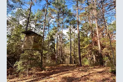 235 Private Road 6912, Colmesneil, TX 75938 - Photo 37