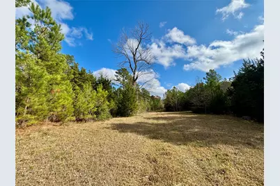 235 Private Road 6912, Colmesneil, TX 75938 - Photo 47