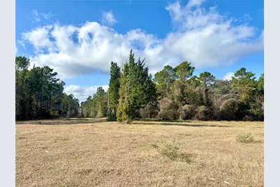 235 Private Road 6912, Colmesneil, TX 75938 - Photo 33