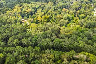 12865 Royal Forest Dr, Conroe, TX 77303 - Photo 3