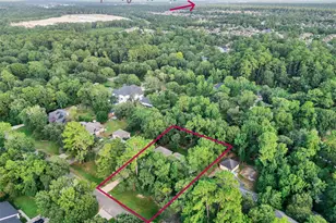 2312 Carriage Run E, Conroe, TX 77384 - Photo 43