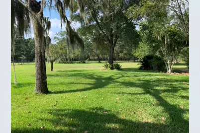 29229 Sheffield Road, Hockley, TX 77447 - Photo 3