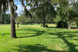 29229 Sheffield Rd, Hockley, TX 77447 - Photo 3