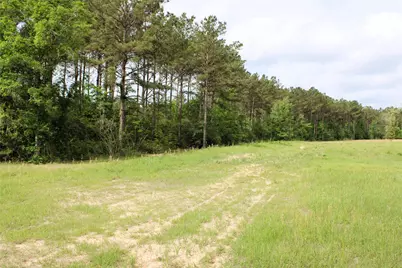 5300 State Highway 150, Coldspring, TX 77331 - Photo 13