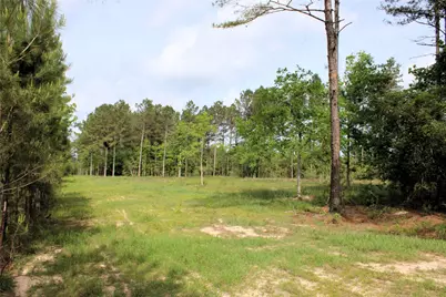 5300 State Highway 150, Coldspring, TX 77331 - Photo 5