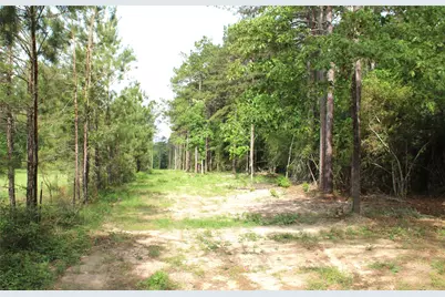 5300 State Highway 150, Coldspring, TX 77331 - Photo 7