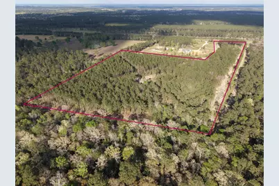 5300 State Highway 150, Coldspring, TX 77331 - Photo 1