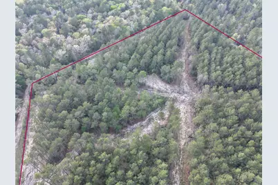 5300 State Highway 150, Coldspring, TX 77331 - Photo 9