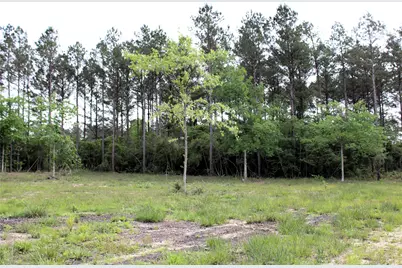 5300 State Highway 150, Coldspring, TX 77331 - Photo 9