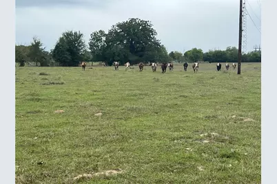 Lot 2 County Road 166, Iola, TX 77861 - Photo 5