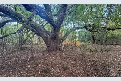 0 Rolling Creek Road, Burton, TX 77835 - Photo 7