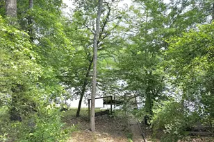 797 Co Rd 3170, Colmesneil, TX 75938 - Photo 3