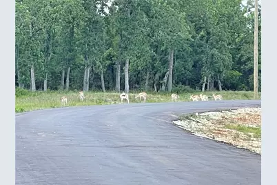 Lot 21 Pr 4173, Marquez, TX 77865 - Photo 15