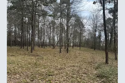 178 Stagecoach Circle, Huntsville, TX 77340 - Photo 5