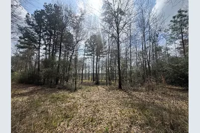 178 Stagecoach Circle, Huntsville, TX 77340 - Photo 3