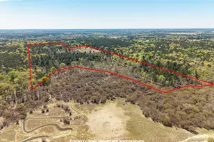 621 Herman Nerren Rd, Huntington, TX 75949 - Photo 5