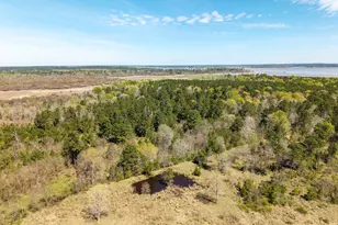 621 Herman Nerren Rd, Huntington, TX 75949 - Photo 7