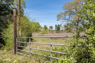 621 Herman Nerren Rd, Huntington, TX 75949 - Photo 9