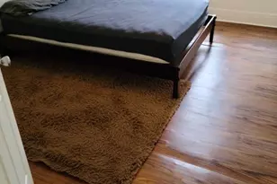 7338 Fauna St, Houston, TX 77061 - Photo 15