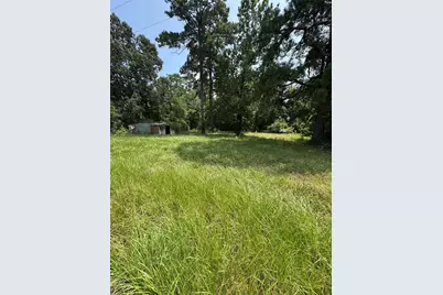501 Bobcat Lane, Daisetta, TX 77533 - Photo 5