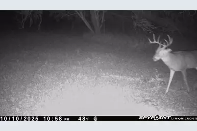 112 Private Road 4019A, Dayton, TX 77535 - Photo 25