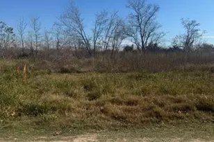 13811 Mary Kay Ln, Houston, TX 77048 - Photo 3