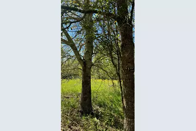 0 Meadow Creek Road, Hockley, TX 77447 - Photo 5