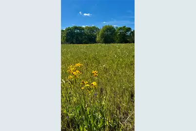 0 Meadow Creek Road, Hockley, TX 77447 - Photo 9