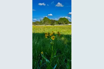 0 Meadow Creek Road, Hockley, TX 77447 - Photo 19