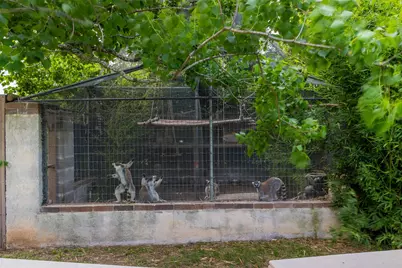 8417 Green Leaf Lane, Brookshire, TX 77423 - Photo 9