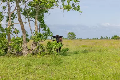 8417 Green Leaf Lane, Brookshire, TX 77423 - Photo 23