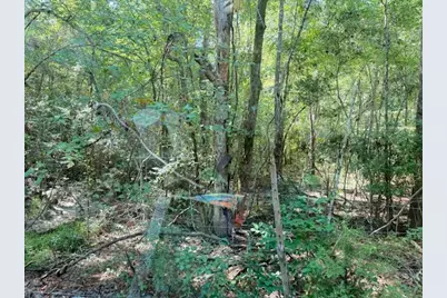 0 Clarence McQueen Road, Camden, TX 75934 - Photo 5