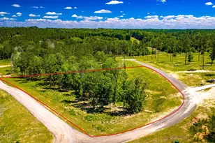 Tbd Lot 15 - Addison Rd, Livingston, TX 77351 - Photo 1