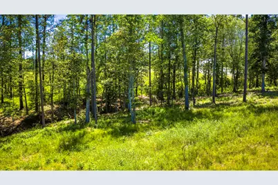 Tbd Lot 15 - Addison Road, Livingston, TX 77351 - Photo 15