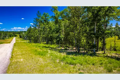 Tbd Lot 15 - Addison Road, Livingston, TX 77351 - Photo 17