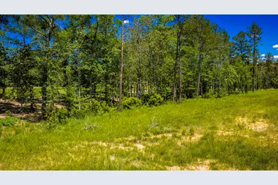 Tbd Lot 15 - Addison Road, Livingston, TX 77351 - Photo 19