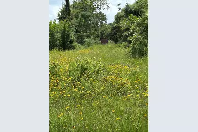 Tbd Tbd South Street, Brookshire, TX 77423 - Photo 3